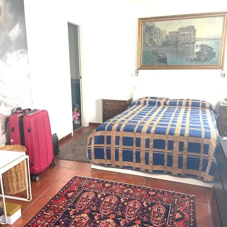 Cozy In The Center Of Apartment